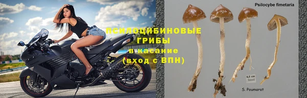 кокаин Алзамай