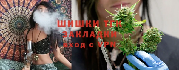 дмт Алексеевка